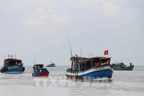 Provincia survietnamita trabaja por combatir pesca ilegal
