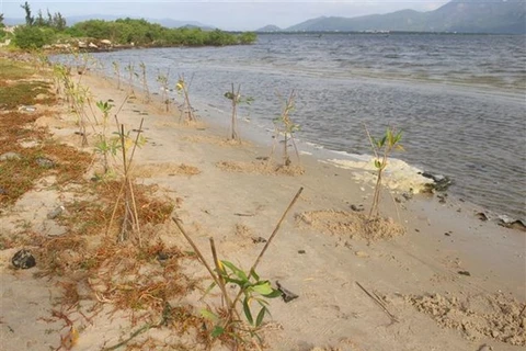 Destinan el 70 por ciento del presupuesto a adaptación al cambio climático en Vietnam