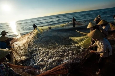 Vietnam redobla esfuerzos por una pesca sostenible en 2022