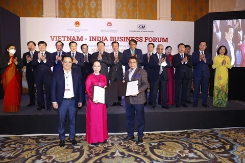 Vietnam e India buscan despertar potencial de cooperación en comercio e inversión