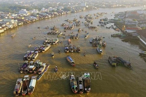 Ciudad Ho Chi Minh coopera con localidades deltaicas para desarrollo turístico