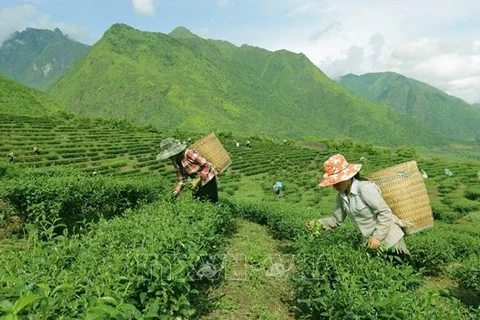 Debaten programa de reducción sostenible de pobreza en la etapa 2021-2025 en Vietnam