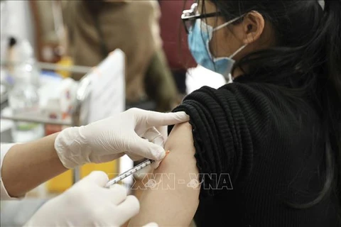 Casi 176 mil personas se recuperan del coronavirus en las últimas 24 horas en Vietnam