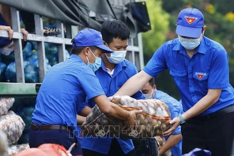 Exhortan a la juventud vietnamita a promover creatividad y dedicación