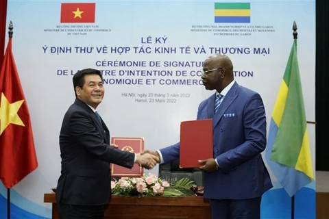 Vietnam promueve cooperación económica y comercial con Gabón