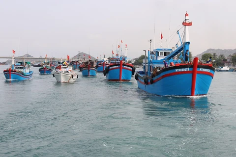 Provincia vietnamita se esfuerza por cumplir medidas contra pesca ilegal