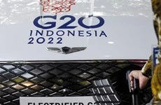 Indonesia propone estandarizar las reglas de viaje de G20