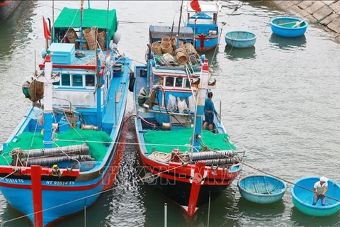 Producción de mariscos de Vietnam alcanza más de 566 toneladas en tres meses