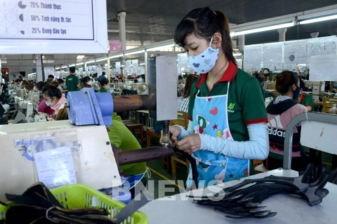 Más de 14 mil nuevas empresas establecidas en Vietnam en marzo