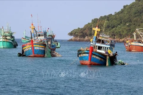 Provincia vietnamita cumple medidas contra pesca ilegal