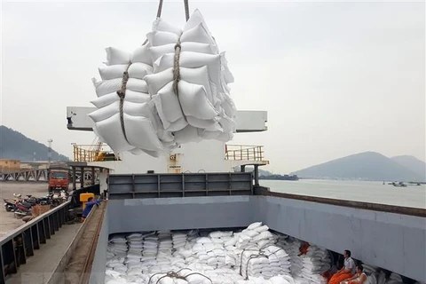 Vietnam exporta 1,48 millones de toneladas de arroz en primer trimestre de 2022