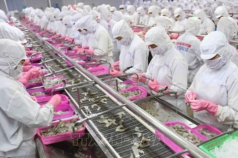 Exportaciones de camarón de Vietnam aumentarán en abril de 2022