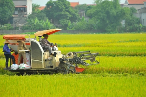Vietnam alcanza ODM sobre reducción de pobreza con 10 años de antelación 