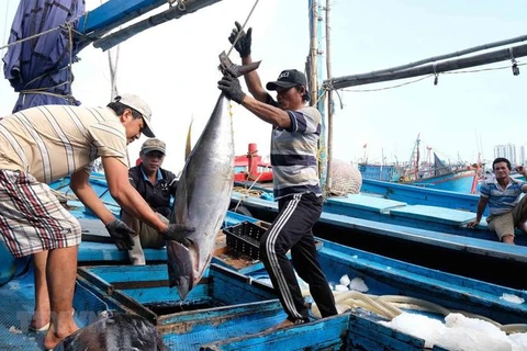 Producción de atún de Indonesia representa el 15 por ciento de cuota mundial