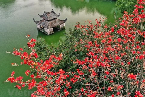 Viaje de la Amistad 2022 en Hanoi