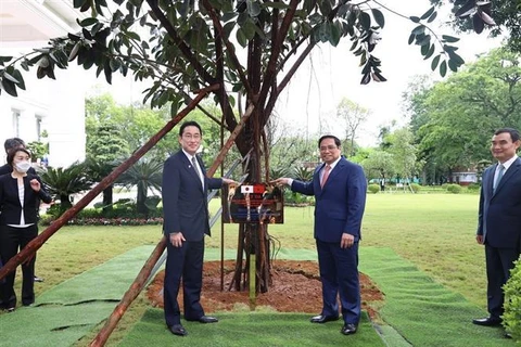 Primer ministro japonés otorga importancia a relaciones con Vietnam, según portavoz 