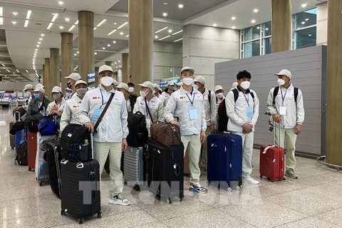 Corea del Sur reanuda la recepción de trabajadores vietnamitas por temporada 