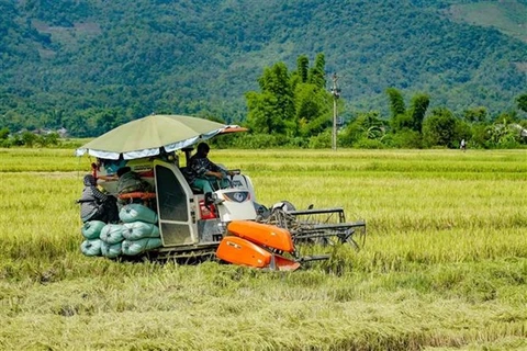  Coloquio en Washington busca estrechar lazos entre empresas agrícolas de Vietnam y EE.UU.