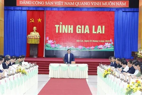 Premier insta a promover desarrollo de provincia altiplana vietnamita de Gia Lai 