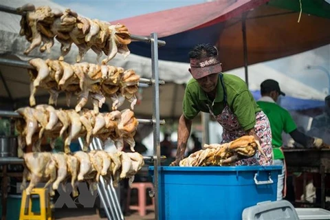 Malasia suspende exportaciones de pollo a partir del 1 de junio