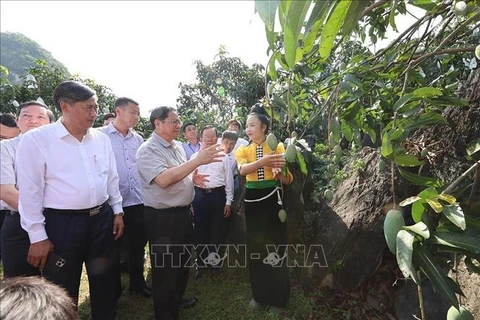 Premier de Vietnam inspecciona calidad de obras infraestructurales clave provinciales
