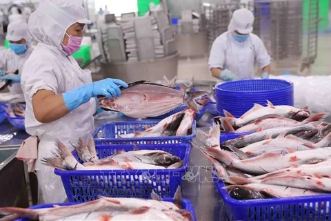 Exportación de productos acuáticos vietnamitas aumenta en mayo