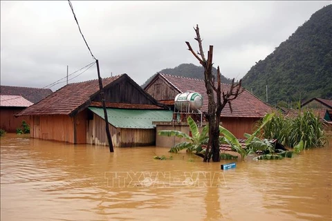 Desastres naturales siguen complicados e impredecibles en Vietnam en 2022