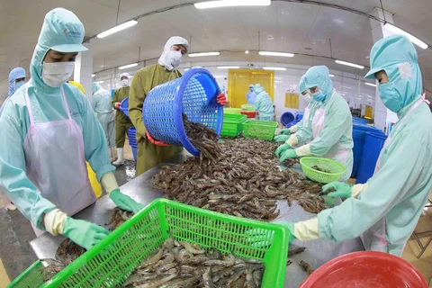 Publicarán nuevo mapa de empresas pesqueras de Vietnam en julio