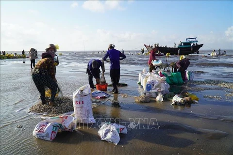 Provincia de Ben Tre desarrolla economía marítima