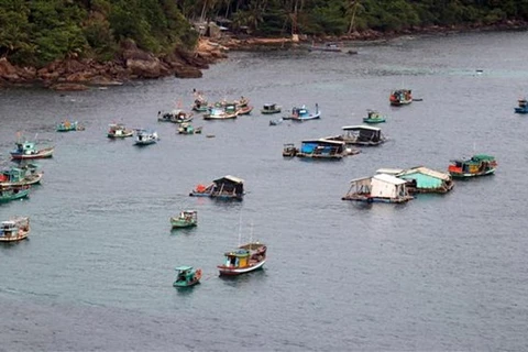 Provincia vietnamita concentra recursos en desarrollo de infraestructura pesquera