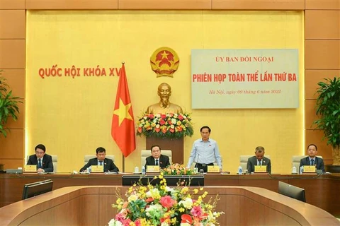 Elogian labores de relaciones exteriores del Parlamento vietnamita 