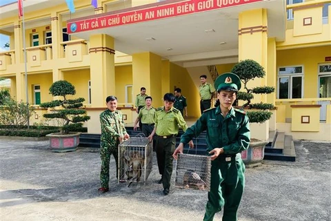 Parque Nacional en provincia vietnamita recibe dos animales salvajes raros
