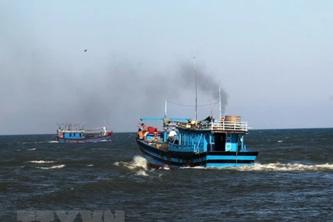 Pescadores vietnamitas dicen “No” a la pesca ilegal 