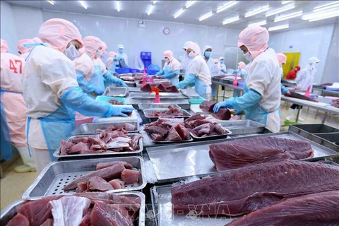 Exportaciones de atún vietnamita a Canadá tienden a aumentar