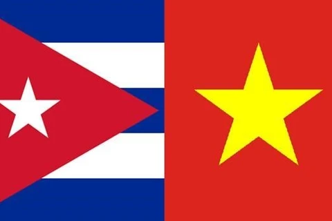 Asociación de Amistad Vietnam-Cuba en Nghe An ampliará su afiliación en nuevo