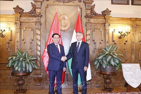 Vietnam, socio importante de Hungría en el Sudeste Asiático