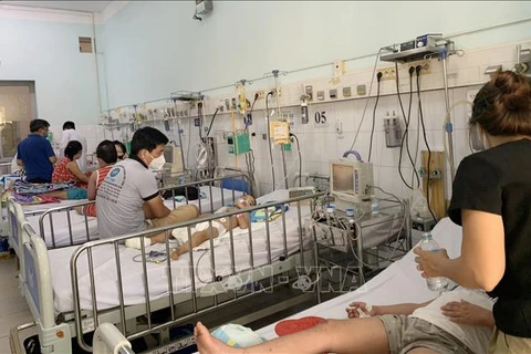 Vietnam impulsa acciones contra dengue