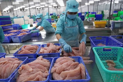 Exportaciones acuáticas vietnamitas en segundo trimestre suben 36 por ciento 