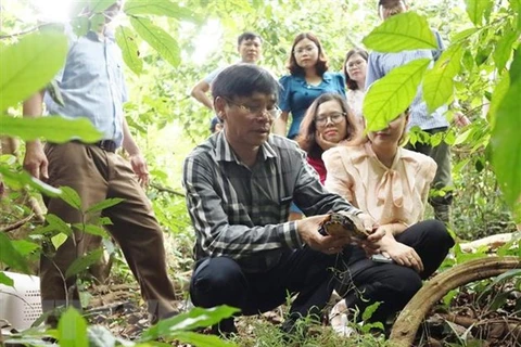 Liberan en Vietnam 58 ejemplares de animales salvajes al hábitat natural