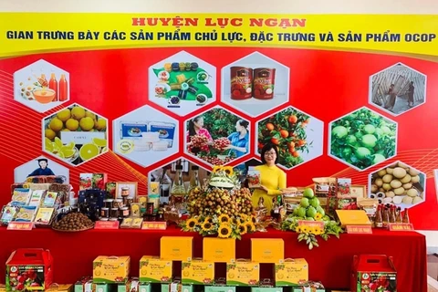 Provincia vietnamita de Bac Giang promueve consumo y exportación de lichi 