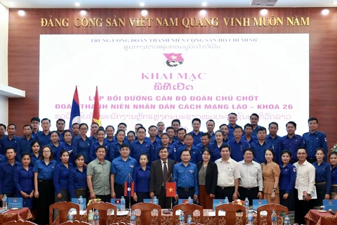 Organización juvenil de Vietnam recluta más voluntarios internacionales