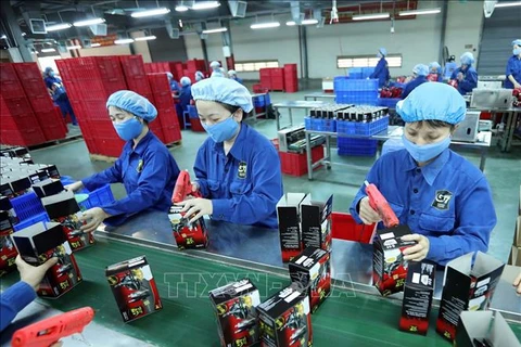 Provincia vietnamita experimenta alza en cantidad de nuevas empresas