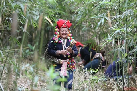 Resaltan identidad cultural de los Yao entre comunidades étnicas de Vietnam