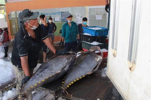 Exportaciones de atún de Vietnam aumentan en el primer semestre