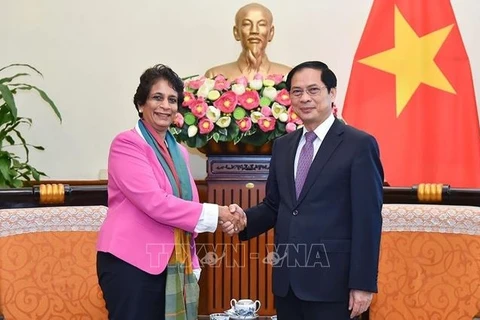 Canciller vietnamita recibe a la directora regional del PNUD para Asia-Pacífico 