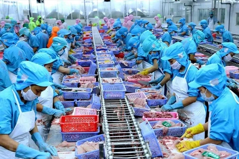 Ventas de productos acuáticos vietnamitas caen por debajo de los mil millones de dólares