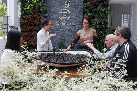 Enseñanza del arte del té vietnamita a extranjeros