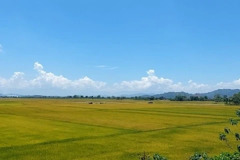 Krong No, el lugar en el que se cultiva arroz en suelo volcánico