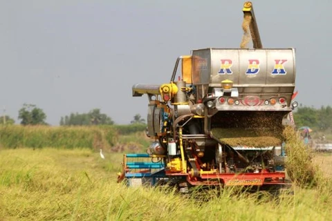 Tailandia aprueba plan agrícola para provincias del Corredor Económico Oriental