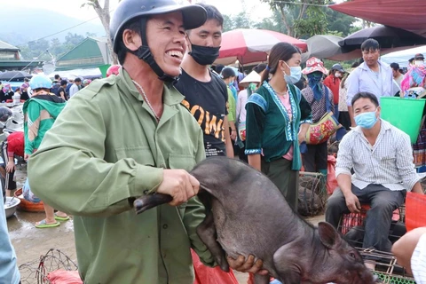  Único mercado de cerdos en la provincia norvietnamita de Lai Chau 